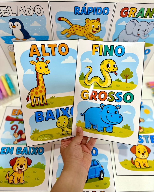 FICHAS CONCEITOS EDUCAÇÃO INFANTIL - Image 5