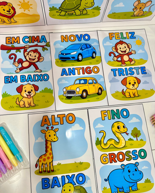 FICHAS CONCEITOS EDUCAÇÃO INFANTIL - Image 4