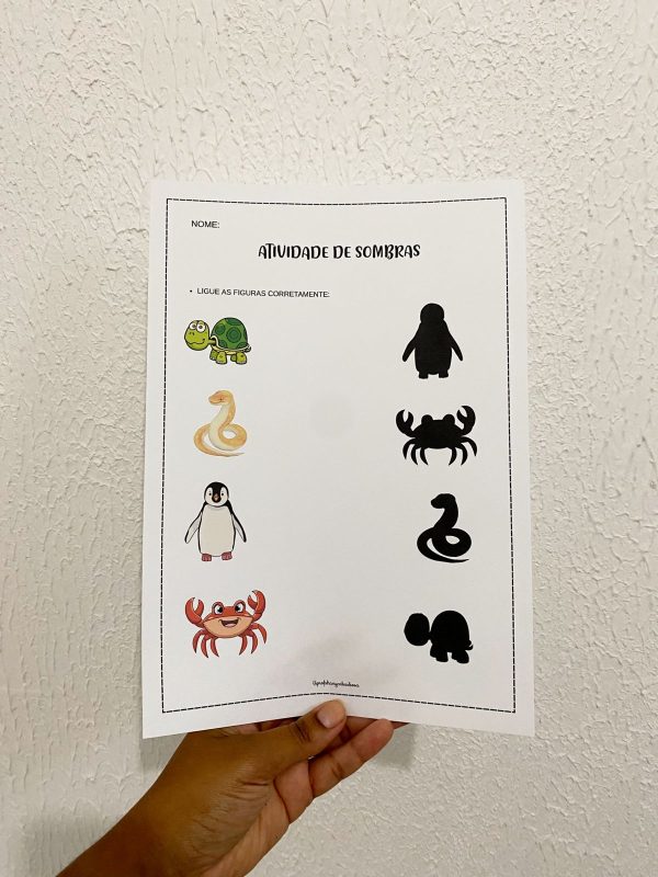 ATIVIDADE DE SOMBRAS - Image 3