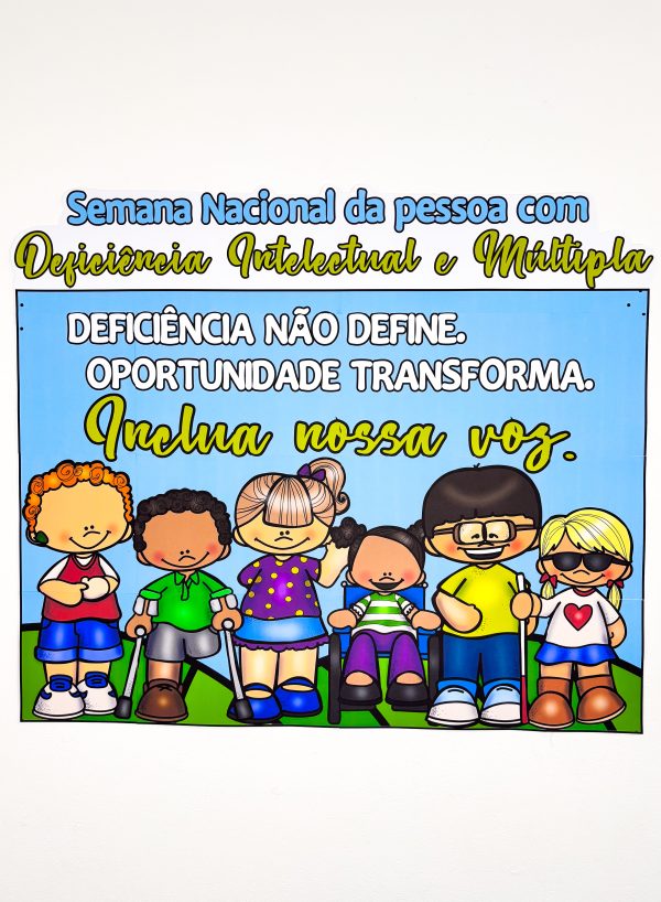 PAINEL SEMANA NACIONAL DA PESSOA COM DEFICIÊNCIA - Imagem 7