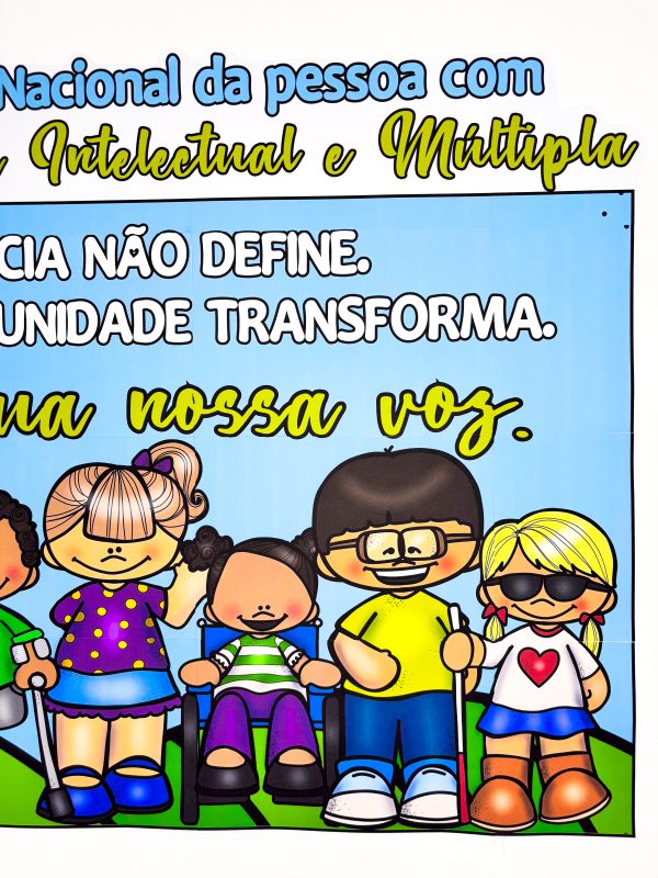 PAINEL SEMANA NACIONAL DA PESSOA COM DEFICIÊNCIA - Imagem 5