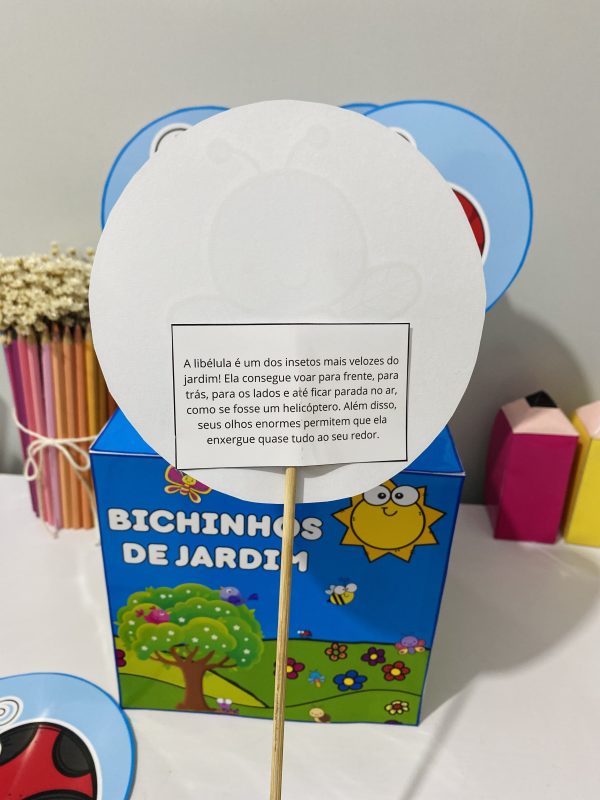 CAIXA BICHINHOS DE JARDIM - Imagem 3