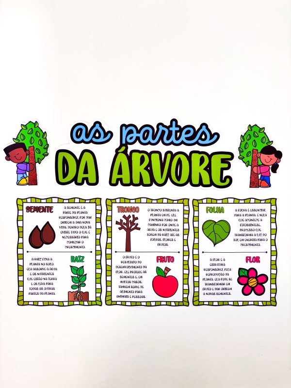 AS PARTES DA ÁRVORE - Imagem 12