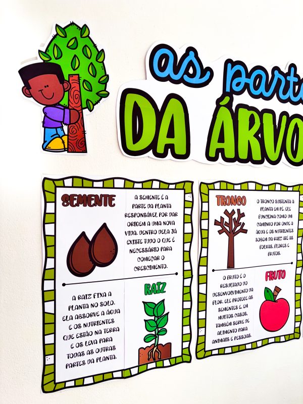 AS PARTES DA ÁRVORE - Imagem 10