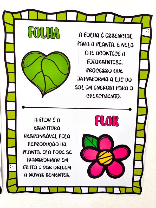 AS PARTES DA ÁRVORE - Imagem 6