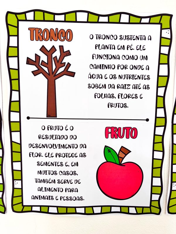 AS PARTES DA ÁRVORE - Imagem 5