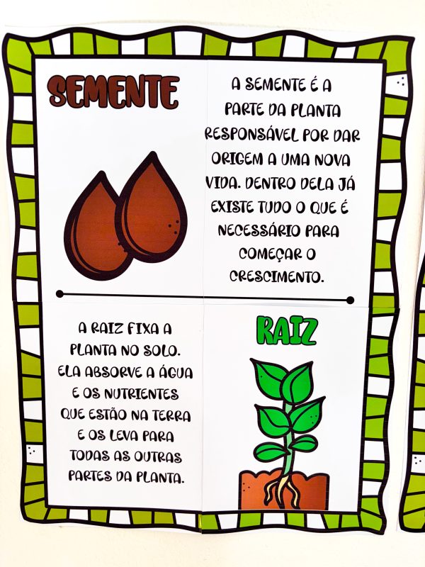 AS PARTES DA ÁRVORE - Imagem 4