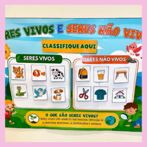 SERES VIVOS E SERES NÃO VIVOS